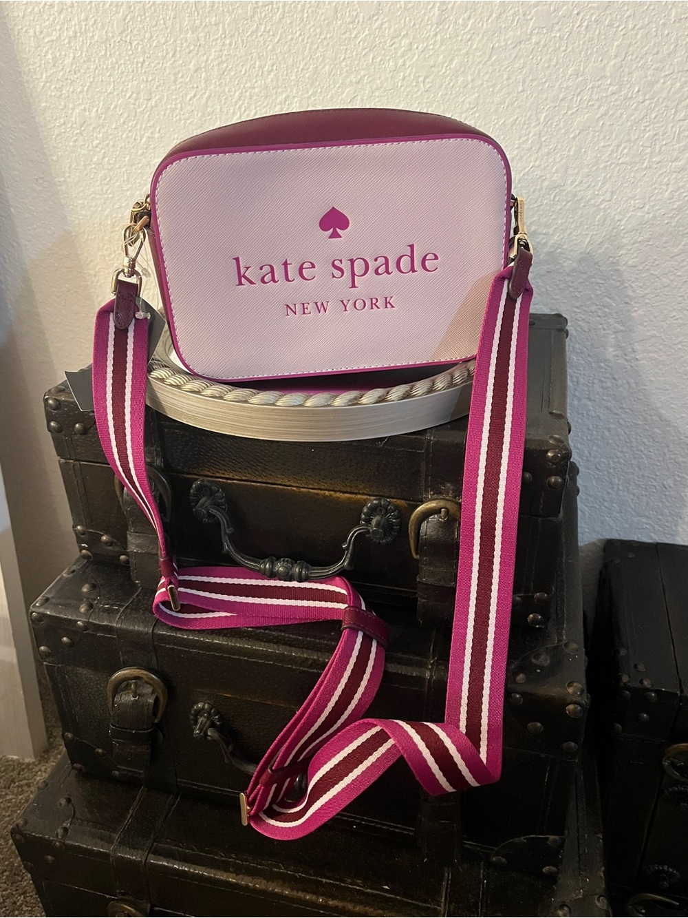 kate spade Two-Tone Pink Striped Crossbody Camera Bag